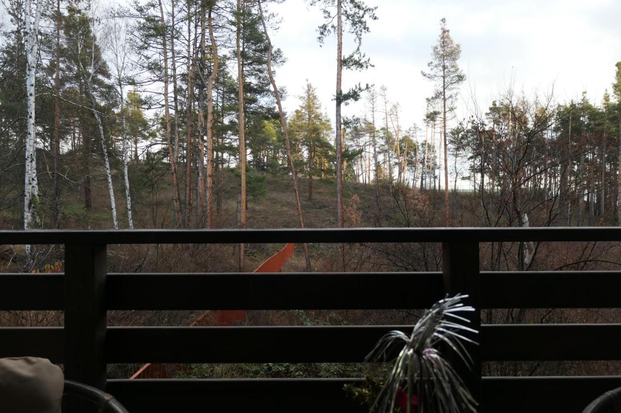 Nikol 2 Deluxe Apartment Velingrad