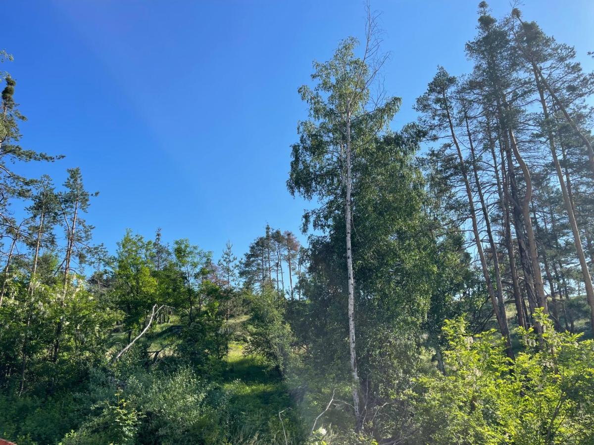 Nikol 2 Deluxe Velingrad